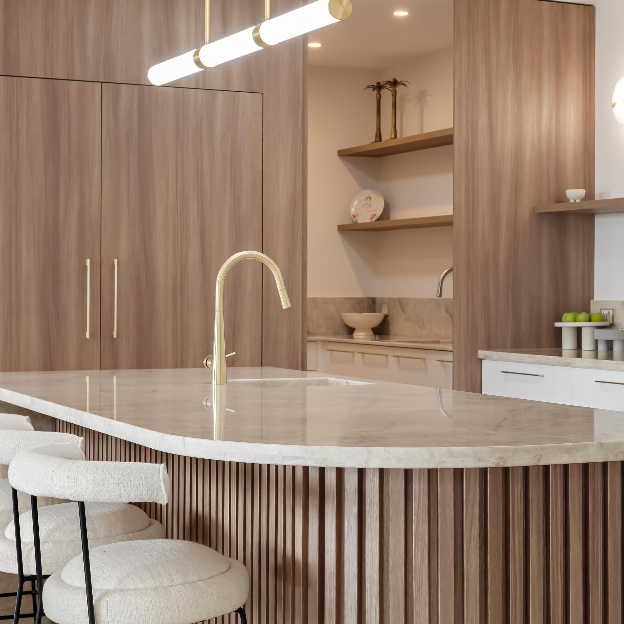 Luxurious Kitchen Design Project